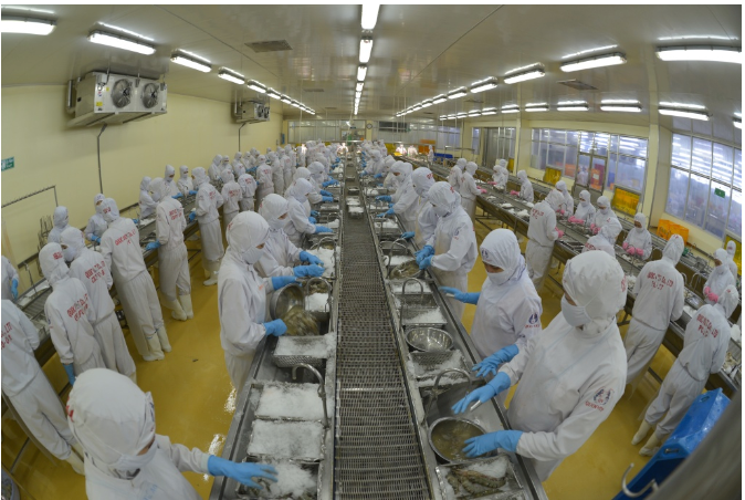 越南成为世界第二大虾供应国